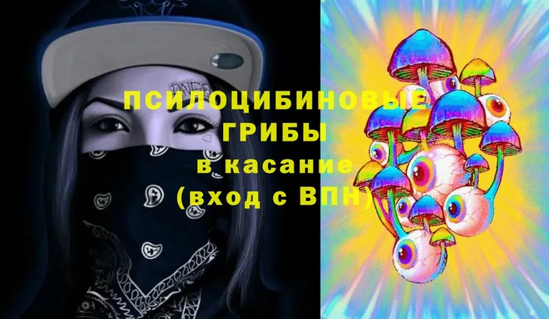 Галлюциногенные грибы Psilocybine cubensis  Кирсанов 